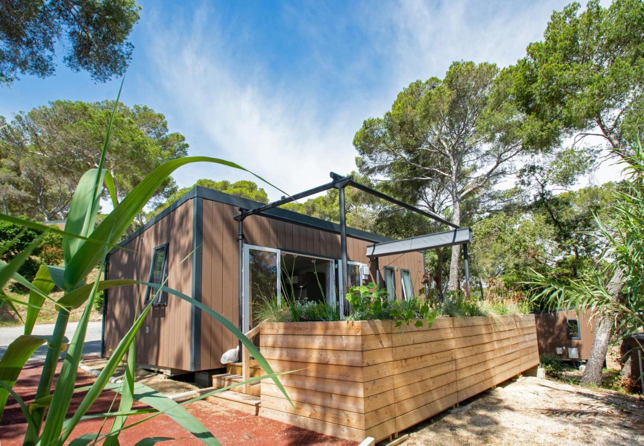Camping Le Camp Du Domaine 博尔马斯·莱斯·米默萨斯 外观 照片